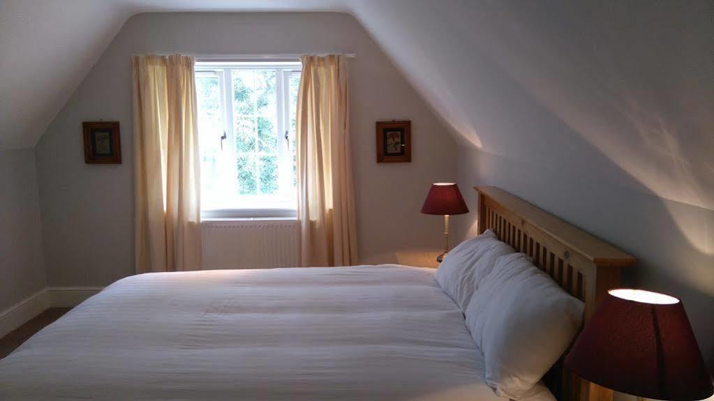 The Shoe Inn Plaitford Extérieur photo
